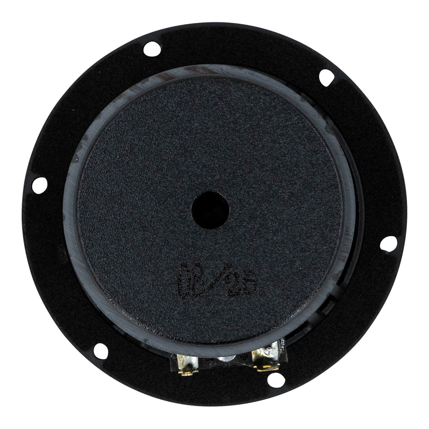 Reference RS100P-4 Woofer a Gamma Completa