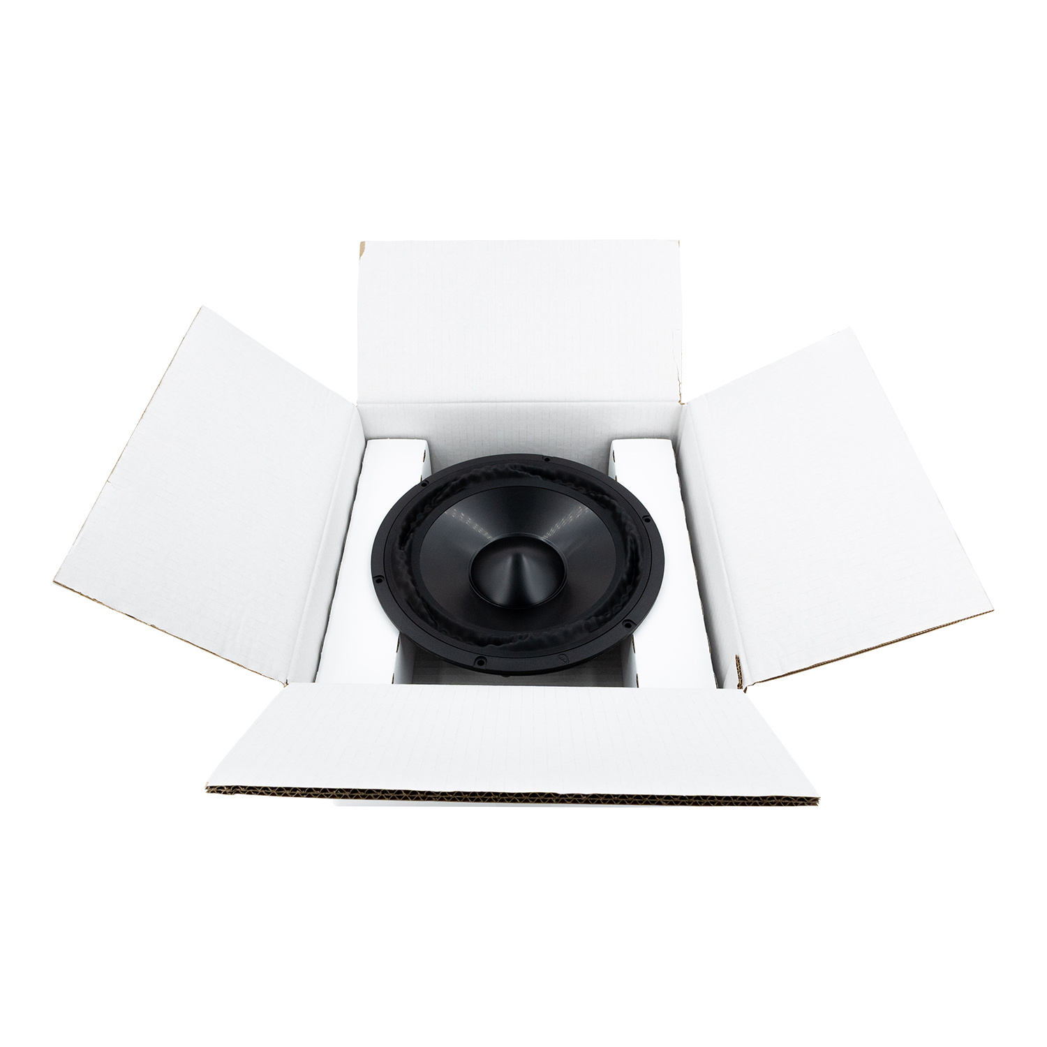 PTT10.0X08-NAB-01 Woofer a Gamma Media
