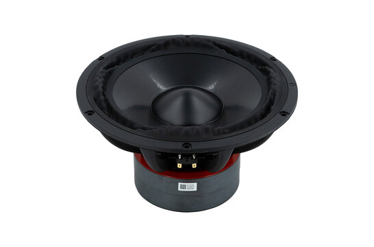 PTT10.0X08-NAB-01 Woofer a Gamma Media
