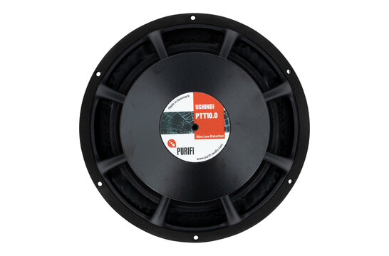 PTT10.0X08-NAB-01 Woofer a Gamma Media