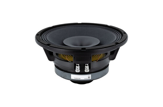 10CX300/Fe Coaxial Woofer