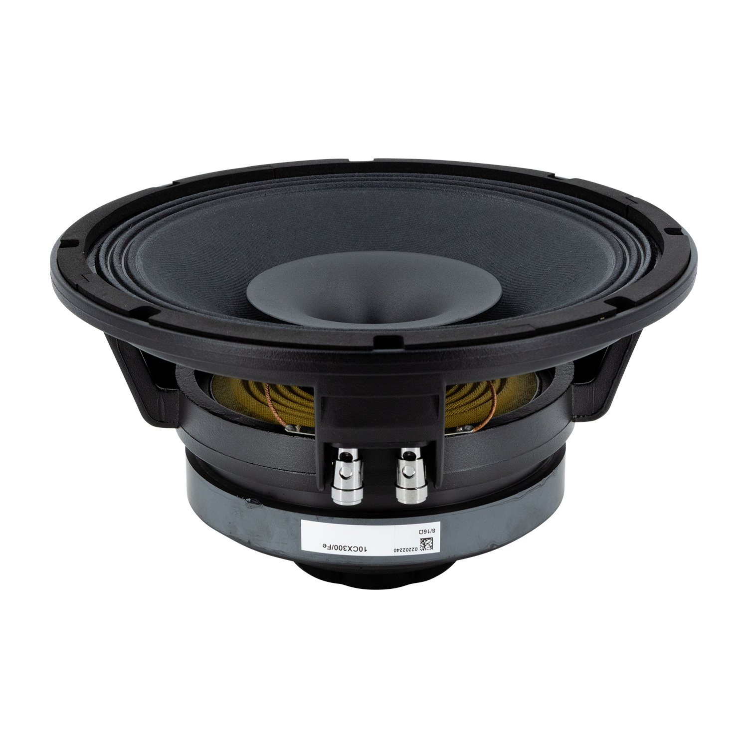 10CX300/Fe Coaxial Woofer