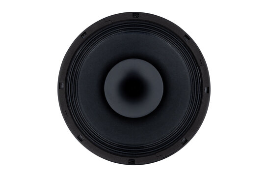 10CX300/Fe Coaxial Woofer