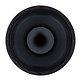 10CX300/Fe Coaxial Woofer