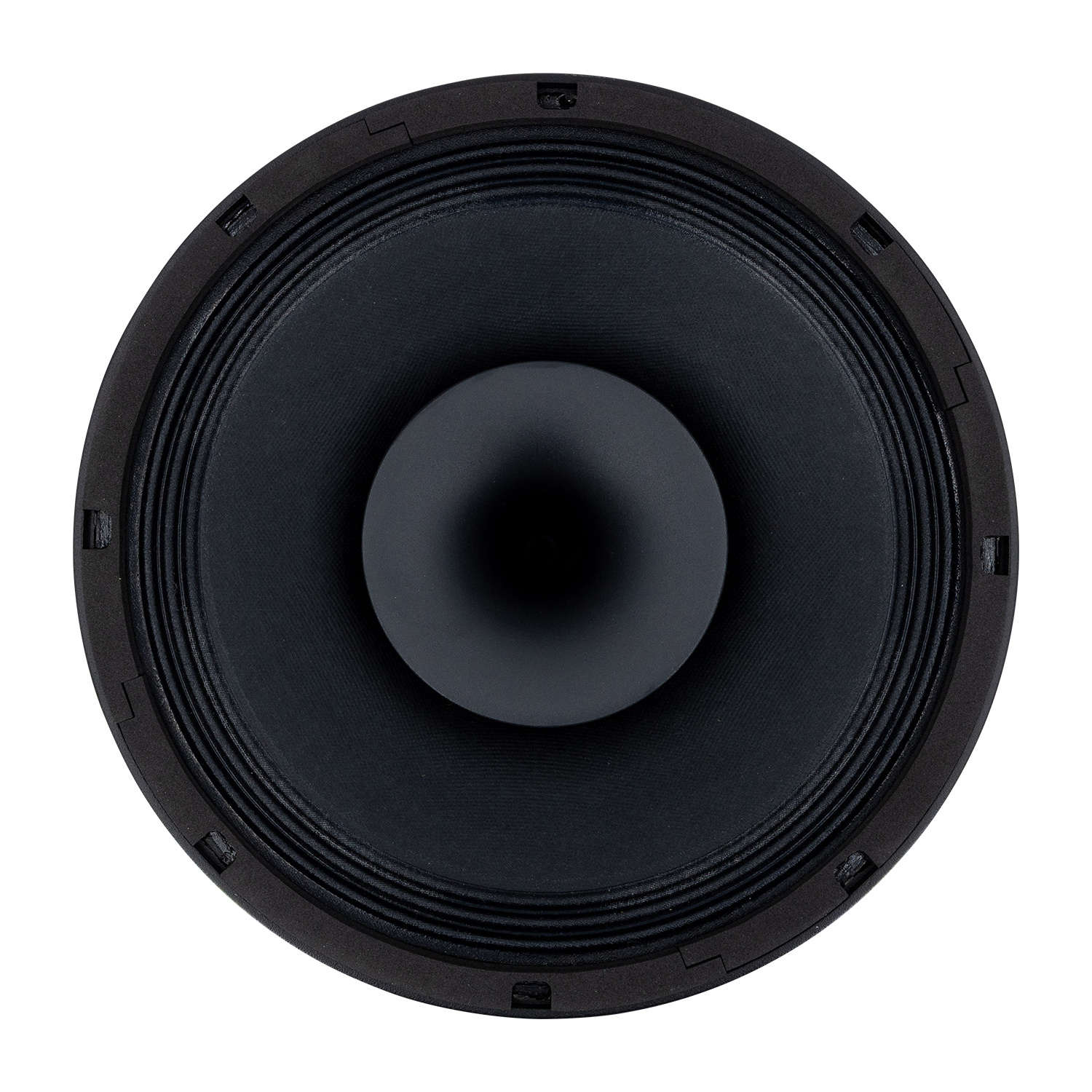 10CX300/Fe Coaxial Woofer