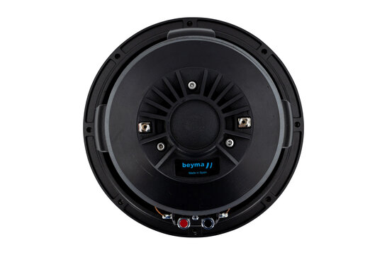 10CX300/Fe Coaxial Woofer