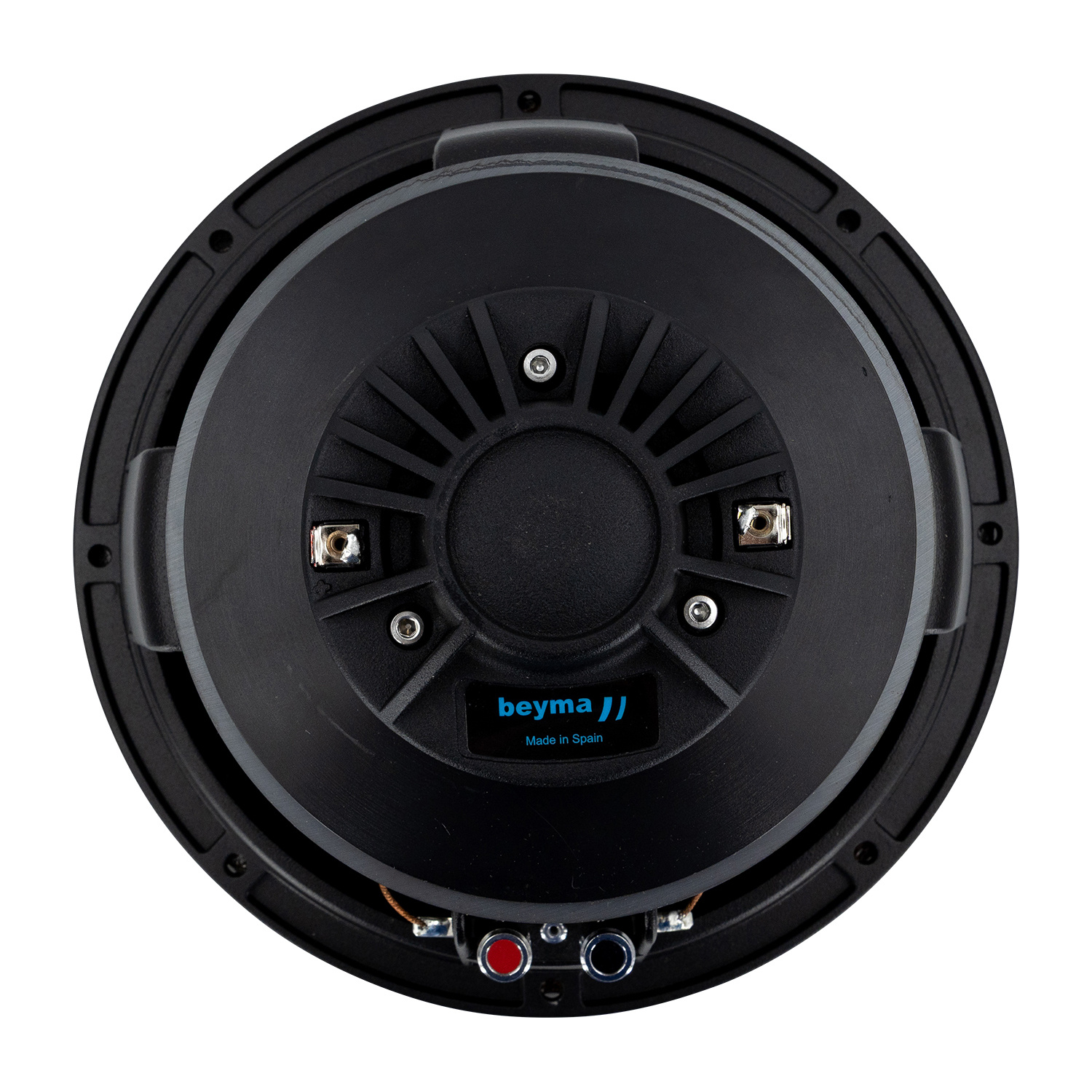 10CX300/Fe Coaxial Woofer