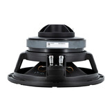 10CX300/Fe Coaxial Woofer