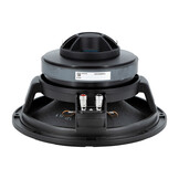 10CX300/Fe Coaxial Woofer