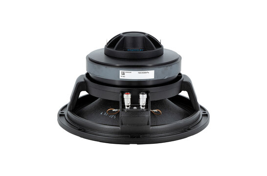 10CX300/Fe Coaxial Woofer