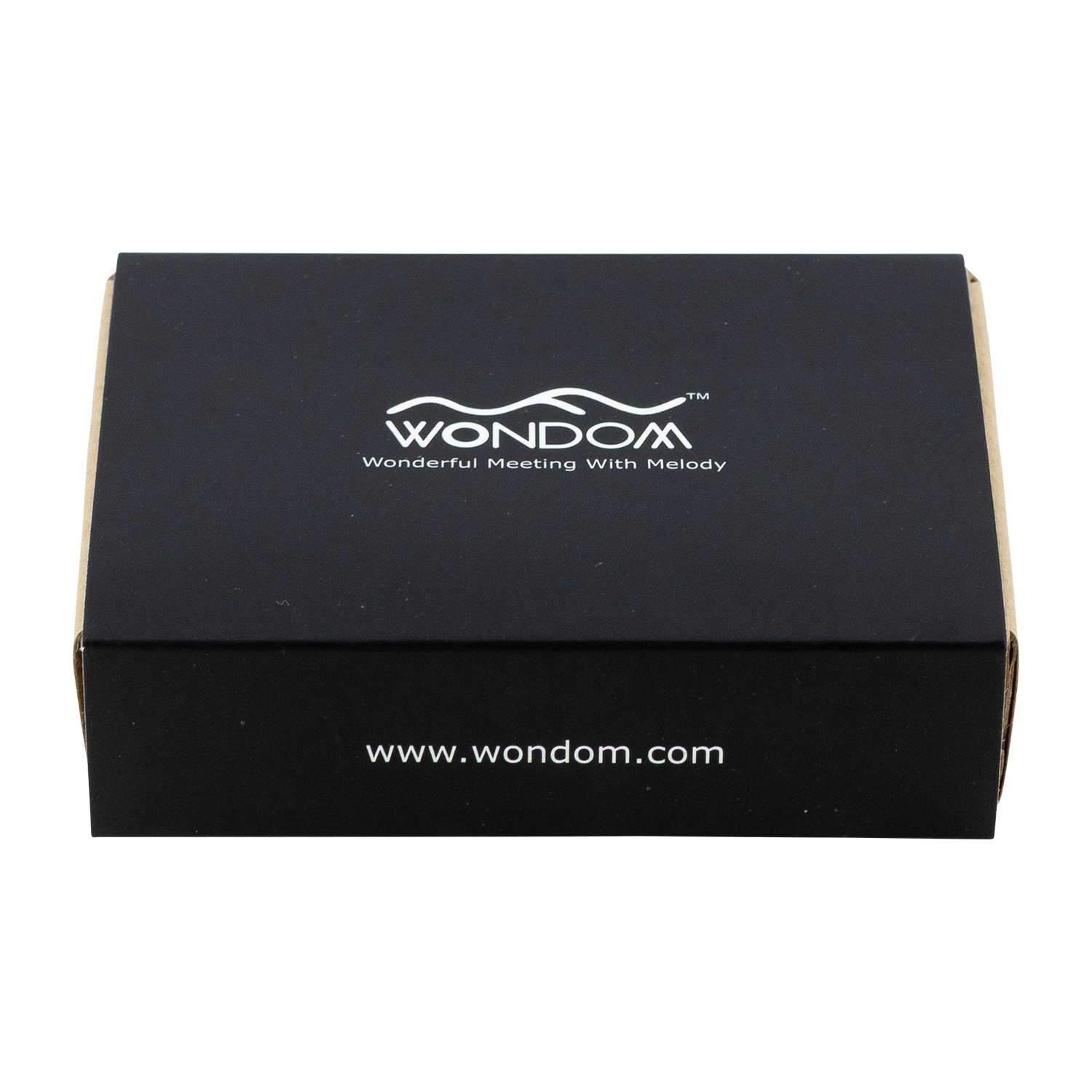 Audio-Digital-Signalprozessor-Kernplatine - ADAU1701