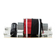 Low Pass Crossover 100 Hz 8 Ohm Montierte Frequenzweich