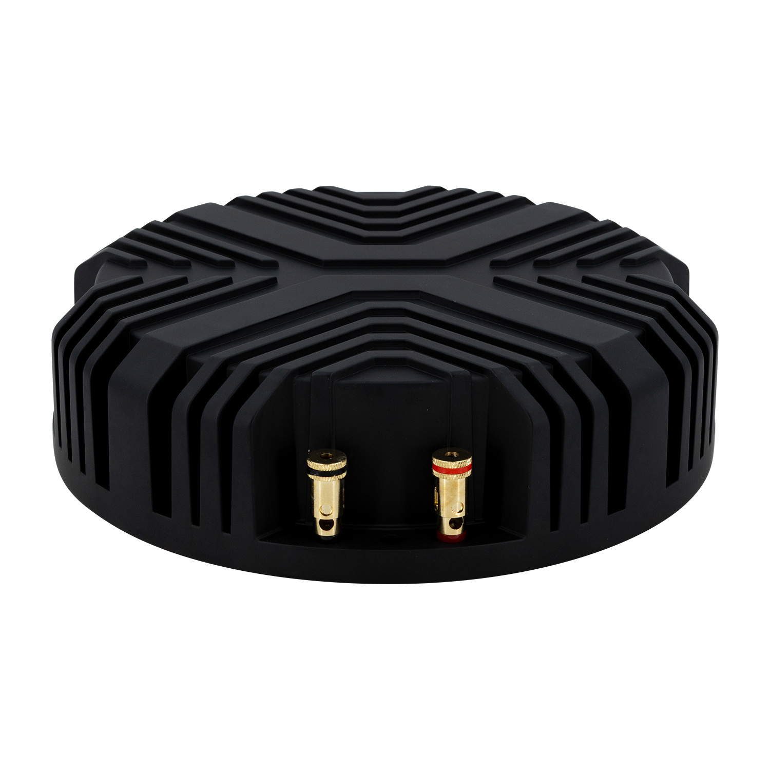 XBS200-4 Bass shaker