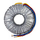 78015 300 VA | 2 x 22 V Ringkerntrafo