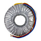 78016 300 VA | 2 x 25 V Trasformatore Toroidale