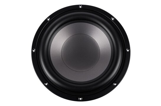 PCS10-4 10" Paper Cone Subwoofer 4 ohms
