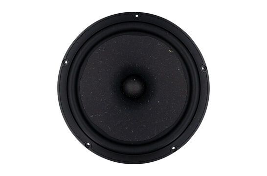 NE315W-04 Subwoofer
