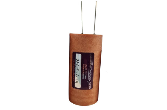 CAST-PP-250-22 | 22 µF | 5% | 250 V | CAST Polypropylene Capacitor