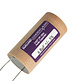 CAST-PP-250-6,8 | 6,8 µF | 5% | 250 V | CAST Polypropylene Capacitor