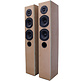 SoundImpress Martini Tower + Hypex HY122 -2Ch Speaker Bundle