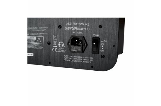 SPA1000 Subwoofer Amplificatore a Piastra