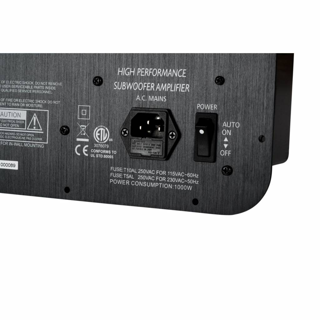 SPA1000 Subwoofer Amplificatore a Piastra