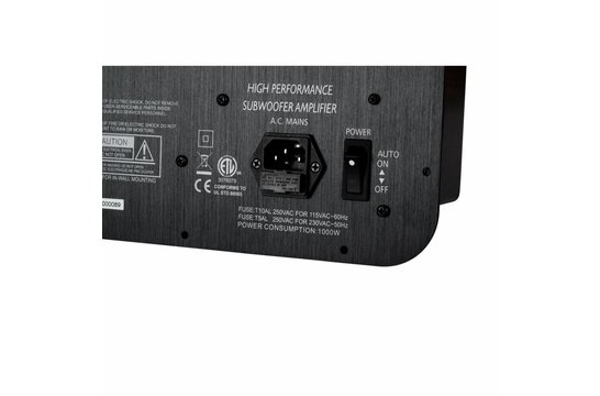 SPA1000 Subwoofer Amplificatore a Piastra