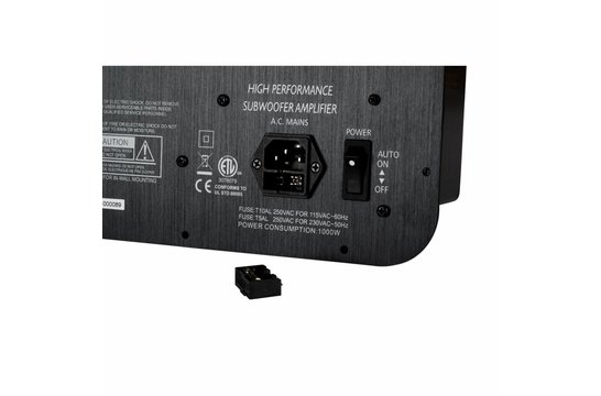 SPA1000 Subwoofer Amplificatore a Piastra