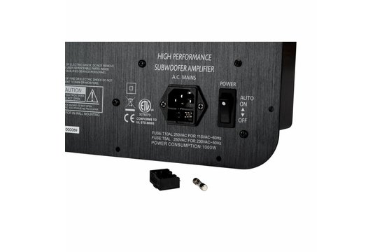 SPA1000 Subwoofer Amplificatore a Piastra