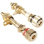 BPA-38G HD Binding Post Pair Gold