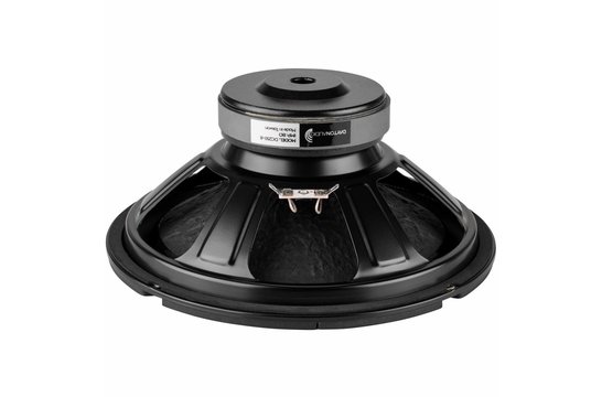 DC250-8 Woofer
