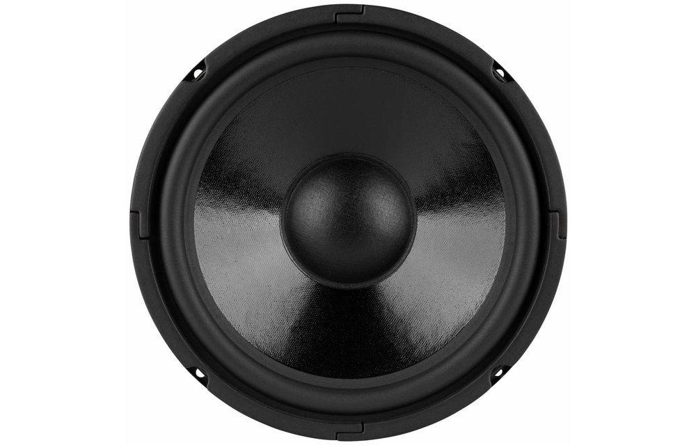 DC250-8 Woofer