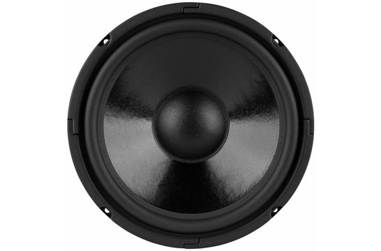 DC250-8 Woofer