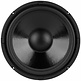 DC250-8 10" Classic Woofer
