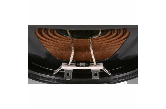 DC250-8 Woofer