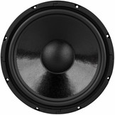 DC300-8 Woofer