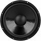 DC300-8 Woofer