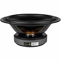 DS270-8 10" Designer Series Woofer Speaker
