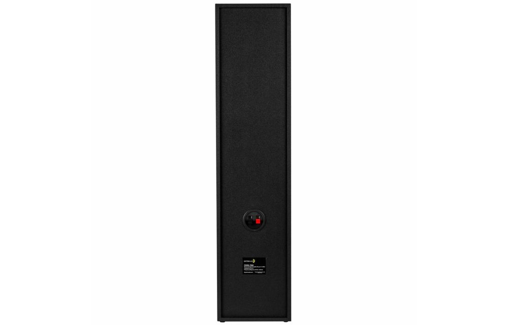 T652 passieve vloerstaande speakers