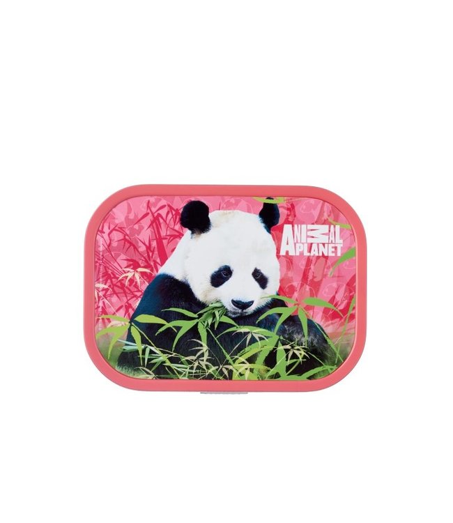 Animal Planet Panda Lunchbox