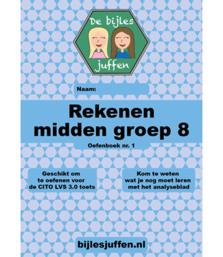 De Bijlesjuffen oefenboek rekenen CITO m8 nr.1