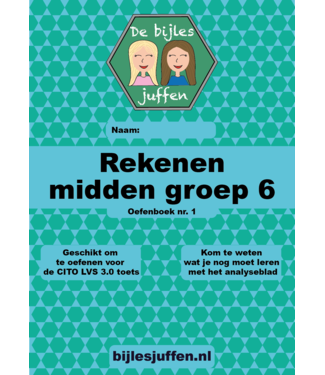 De Bijlesjuffen oefenboek rekenen CITO m6 nr.1