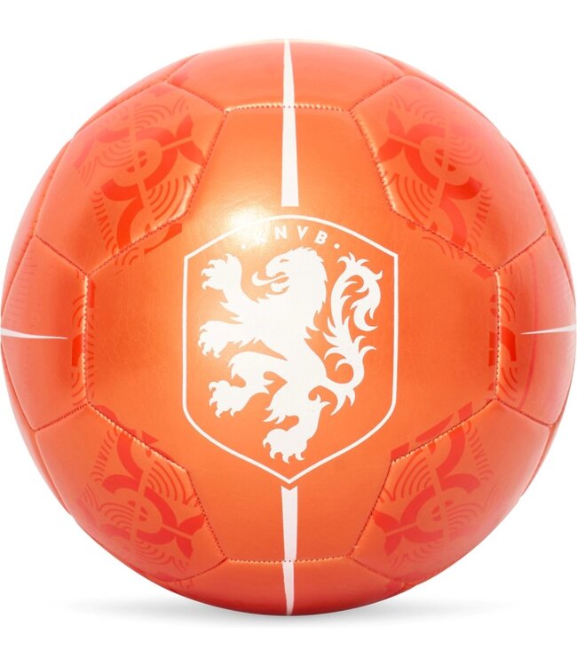 KNVB Voetbal Metallic Maat 5