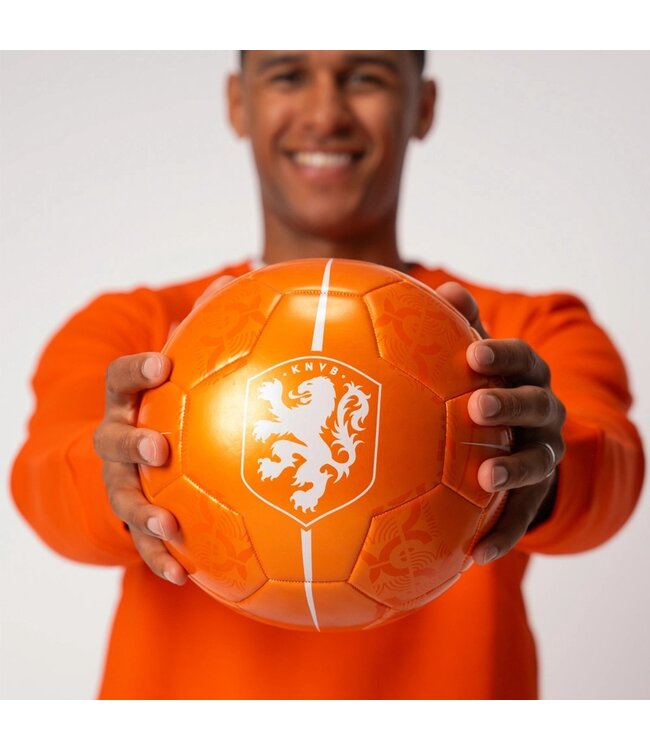 KNVB Voetbal Metallic Maat 5