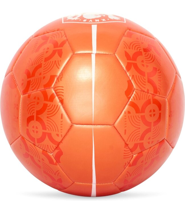 KNVB Voetbal Metallic Maat 5