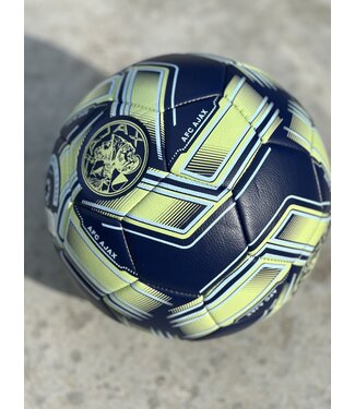 Ajax Voetbal Away maat 5 2025-2026