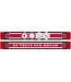 50x Ajax Sjaal Historische logo's
