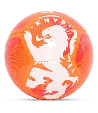 KNVB Voetbal Leeuw Maat 5