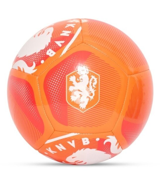 KNVB Voetbal Leeuw Maat 5
