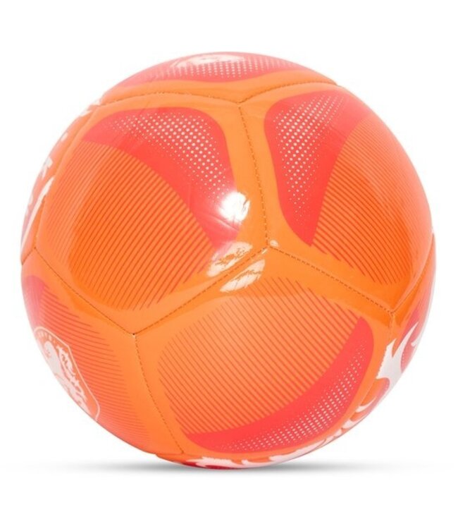 KNVB Voetbal Leeuw Maat 5